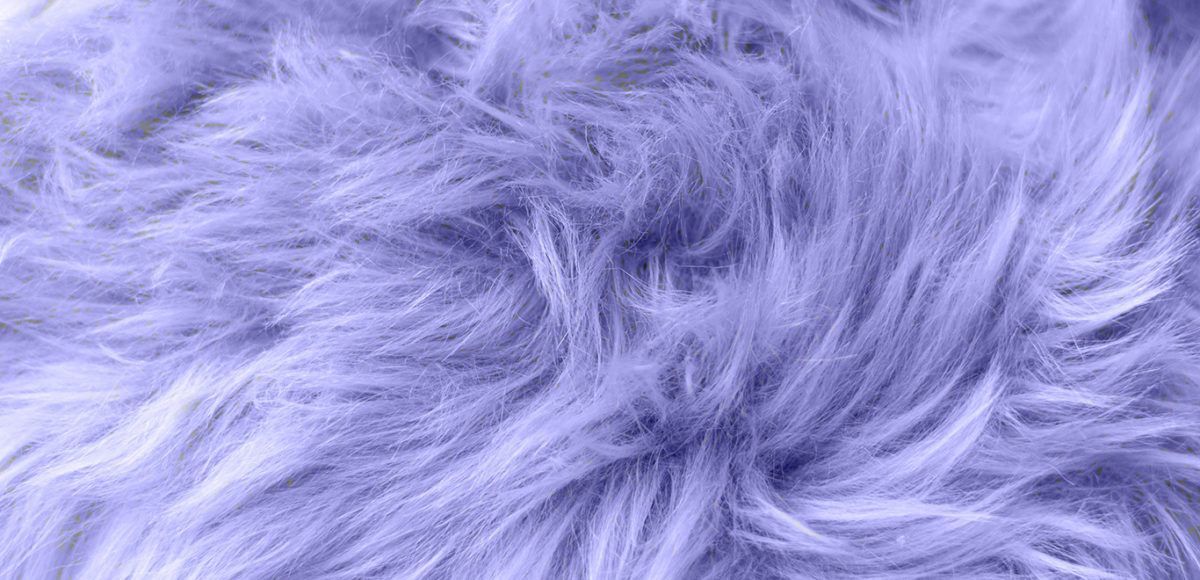 closeup of purple fur