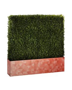 Boxwood Hedge 4' Logo