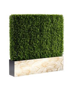 Boxwood Hedge 4' Logo, Long Side