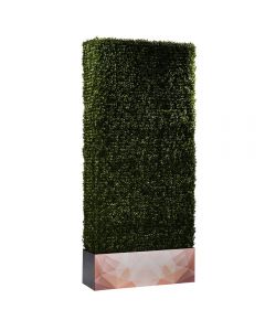 Boxwood Hedge 7' Logo, Long Side