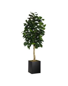 Fiddle Leaf Tree, 8'
