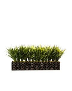 Grass Centerpiece Logo, Long Side