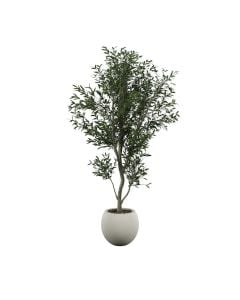 Life-like, fruitless olive tree in a round white planter pot.