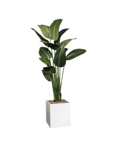 faux havana palm tree with white base