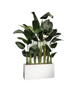 faux green havana pam divider with white base