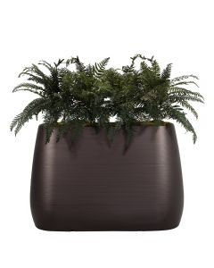 Planter Divider w/ Ferns