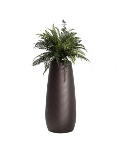 planter pot with ferns