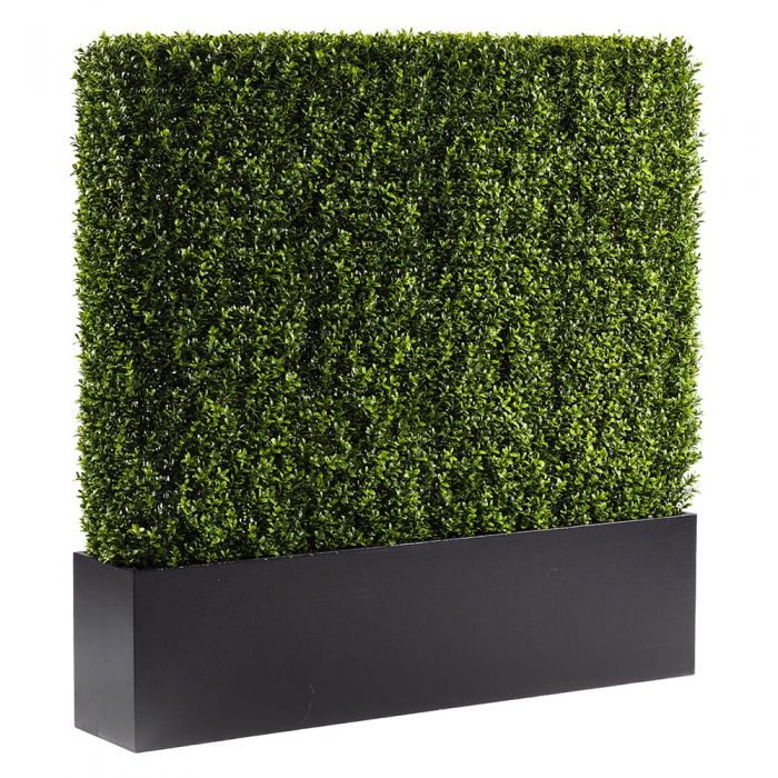 Boxwood Hedge by CORT events