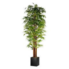 9ft rental bamboo tree with black planter base.  