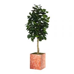 custom graphic on all sides of greenery base