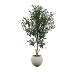 Life-like, fruitless olive tree in a round white planter pot.