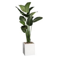 faux havana palm tree with white base