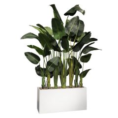 faux green havana pam divider with white base