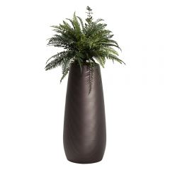 planter pot with ferns