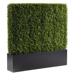 Boxwood Hedge, 4', Black