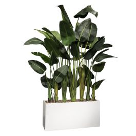 Havana Palm Divider, 8'