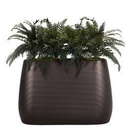 Planter Divider w/ Ferns