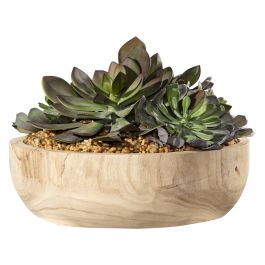 Succulent Bowl